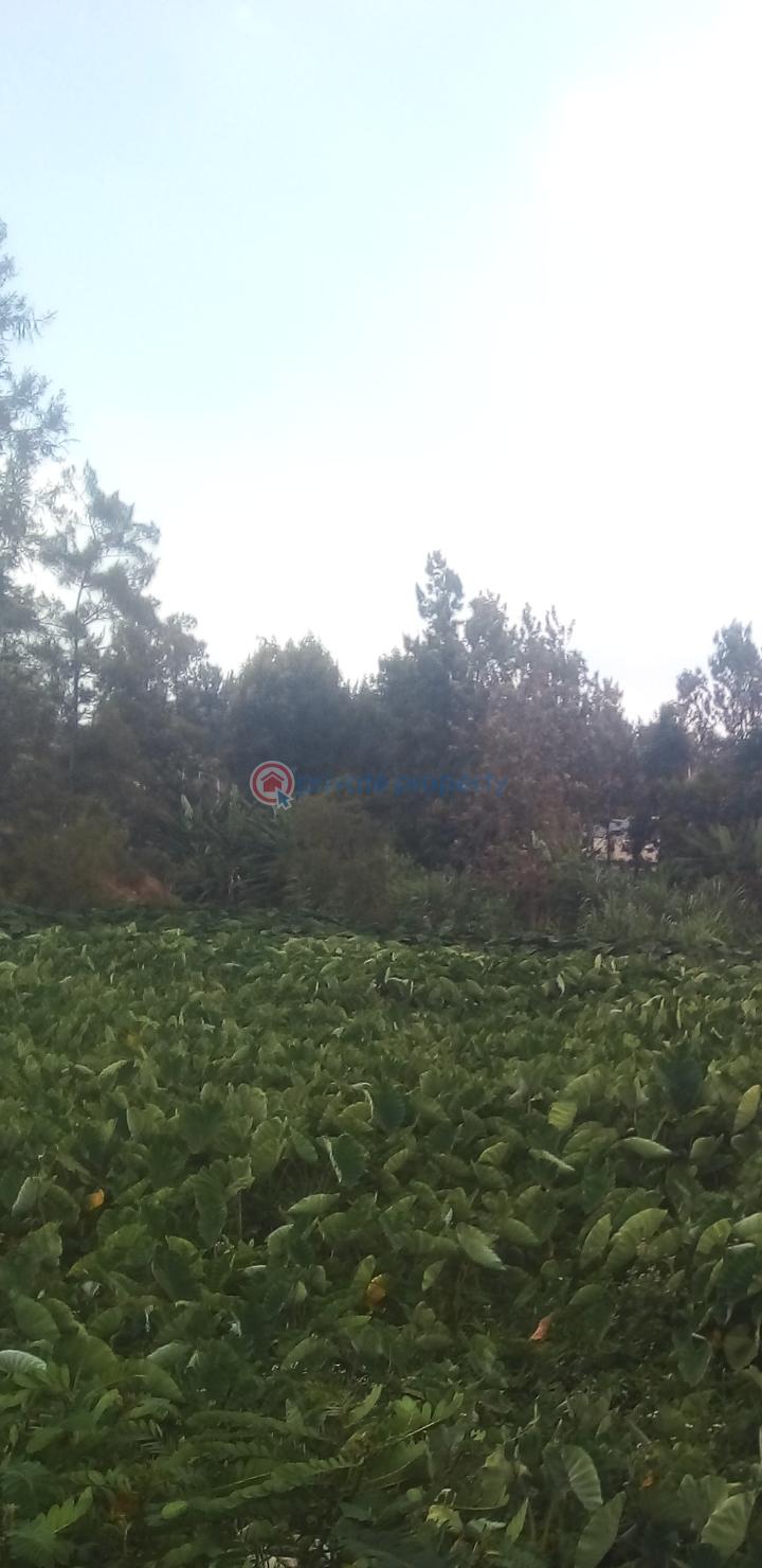 Land For Sale Joska Kangundo East Machakos - 2