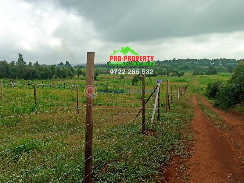 Residential Land For Sale New Ng'amba Tarmac Ngamba Kikuyu Kiambu - 5
