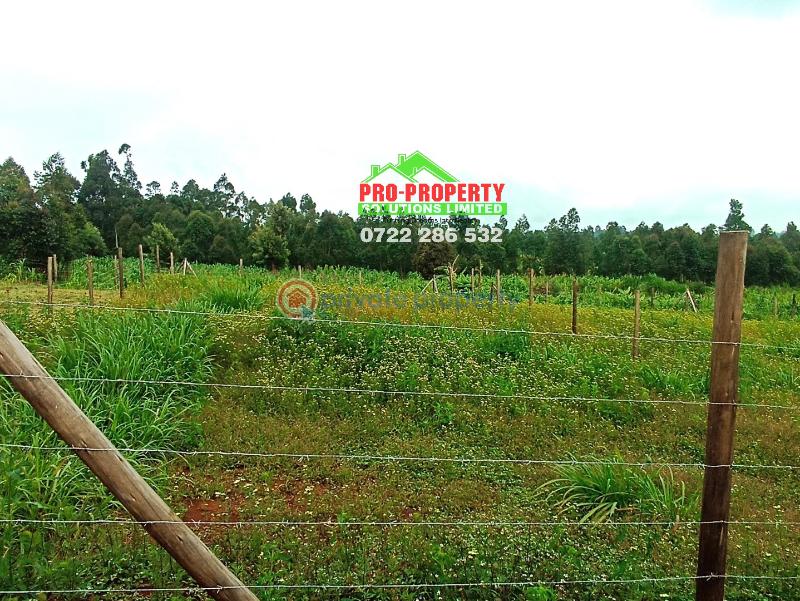 Residential Land For Sale New Ng'amba Tarmac Ngamba Kikuyu Kiambu - 2