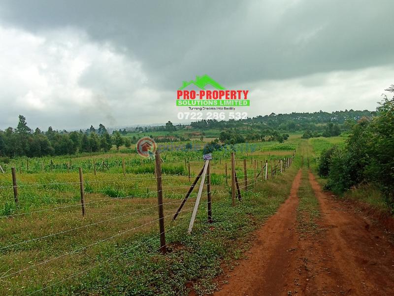 Residential Land For Sale New Ng'amba Tarmac Ngamba Kikuyu Kiambu - 3