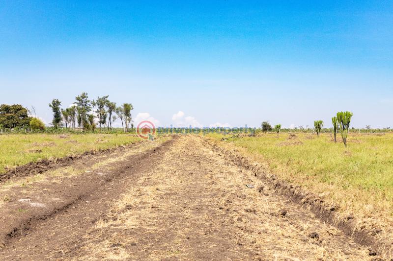 Land For Sale Maiyan,doldol Road Nanyuki Laikipia - 1