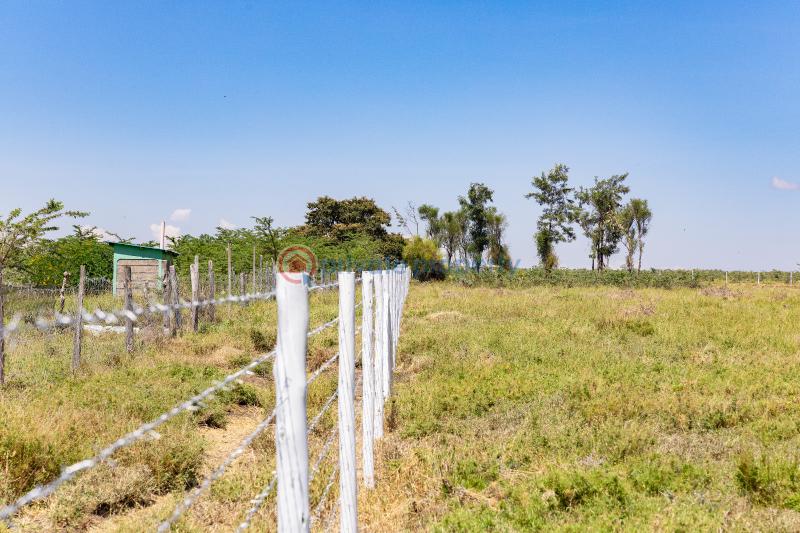 Land For Sale Maiyan,doldol Road Nanyuki Laikipia - 7