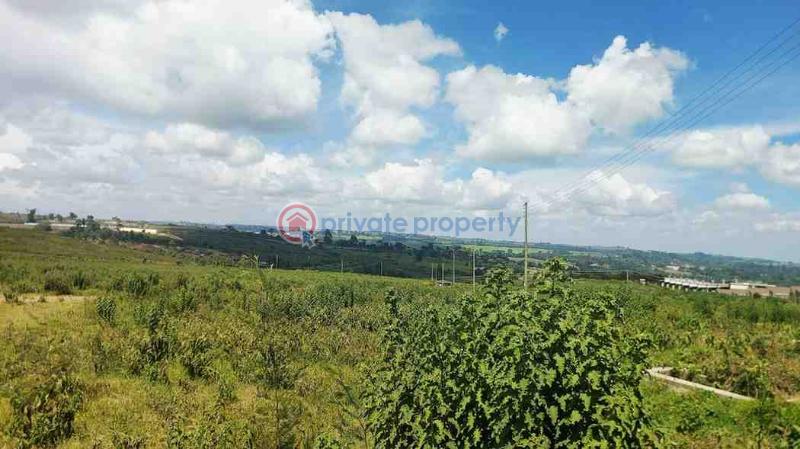 Land For Sale Tilisi Limuru Limuru Central Kiambu - 4