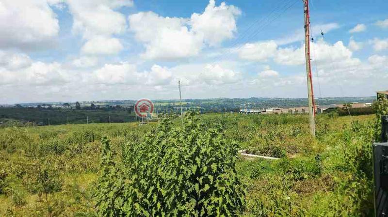 Land For Sale Tilisi Limuru Limuru Central Kiambu - 8