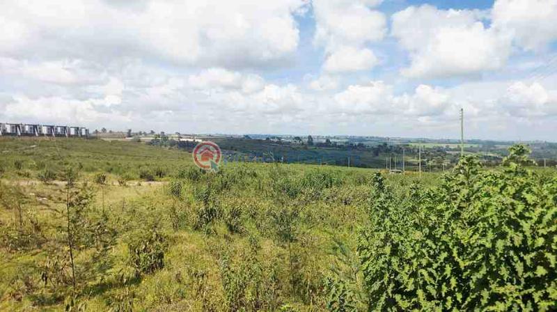 Land For Sale Tilisi Limuru Limuru Central Kiambu - 5