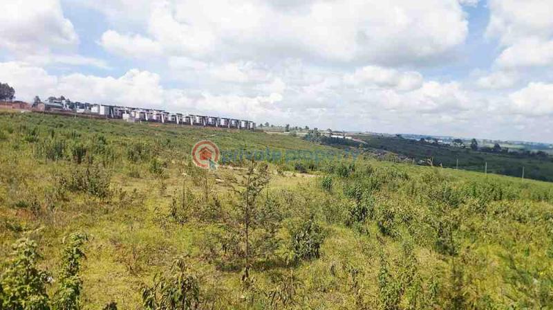 Land For Sale Tilisi Limuru Limuru Central Kiambu - 6