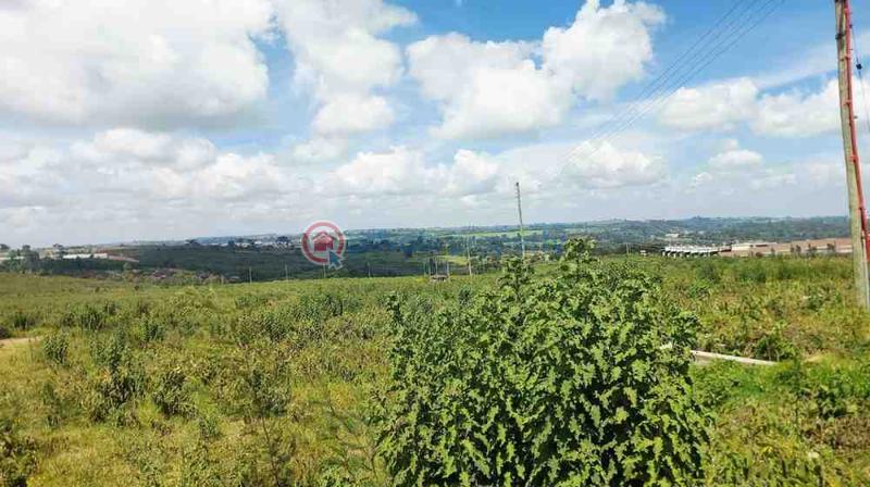 Land For Sale Tilisi Limuru Limuru Central Kiambu - 7