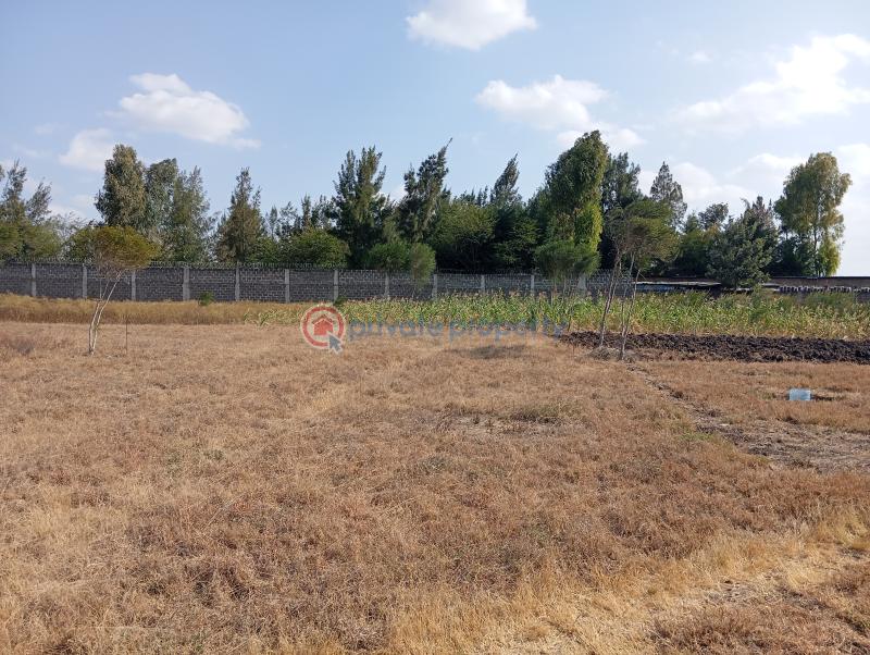 Land For Sale kisaju Kitengela Kajiado - 3