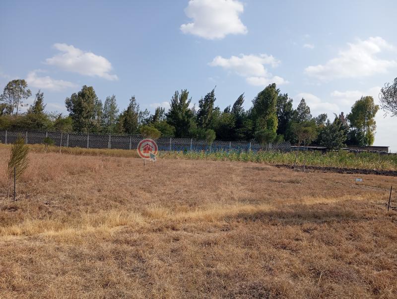 Land For Sale kisaju Kitengela Kajiado - 6