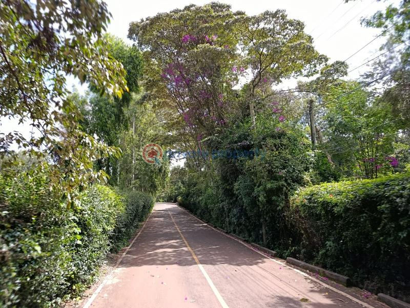 Land For Sale Kerarapon. Ngong Kajiado - 4
