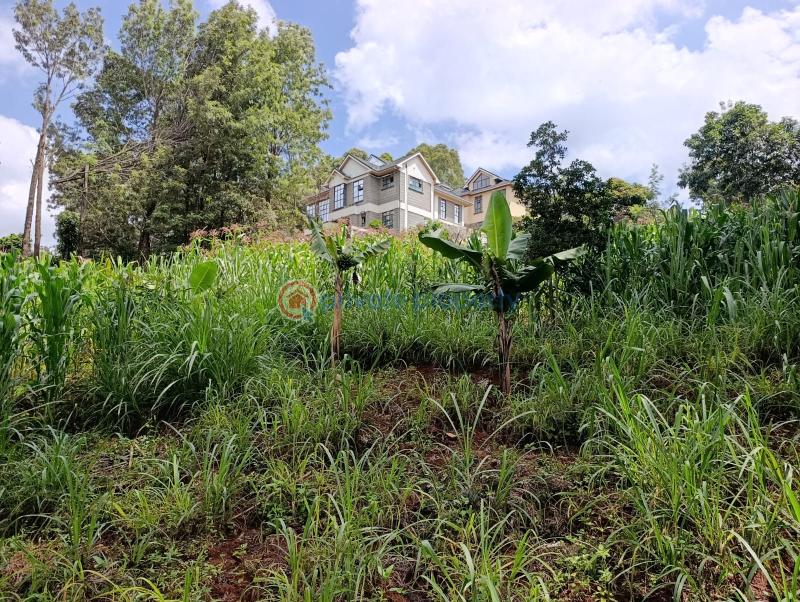 Land For Sale Kerarapon. Ngong Kajiado - 2