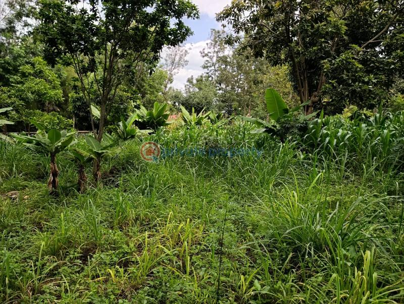 Land For Sale Kerarapon. Ngong Kajiado - 3