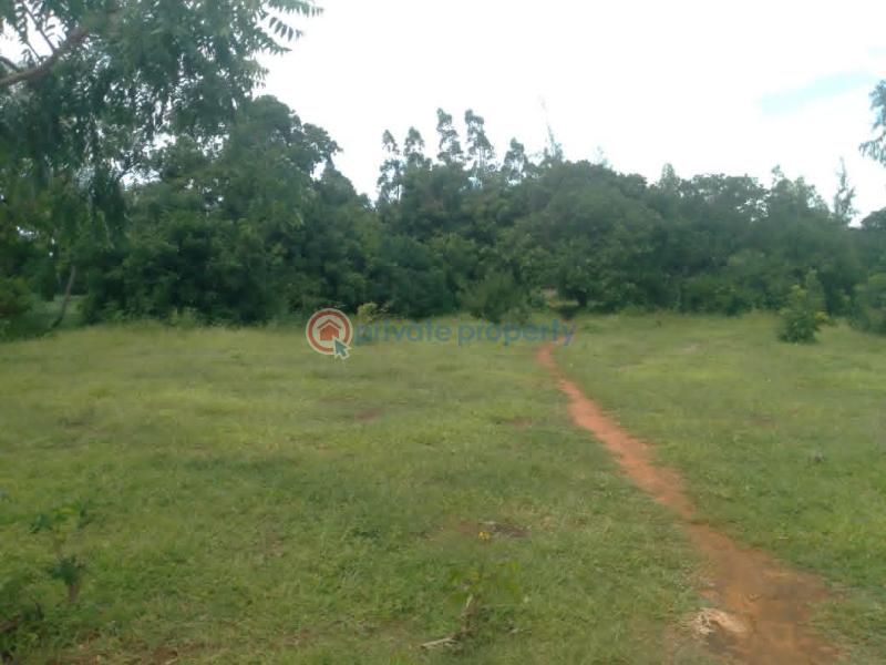 Land For Sale Kilifi, Bofa Area Mnarani Kilifi - 3