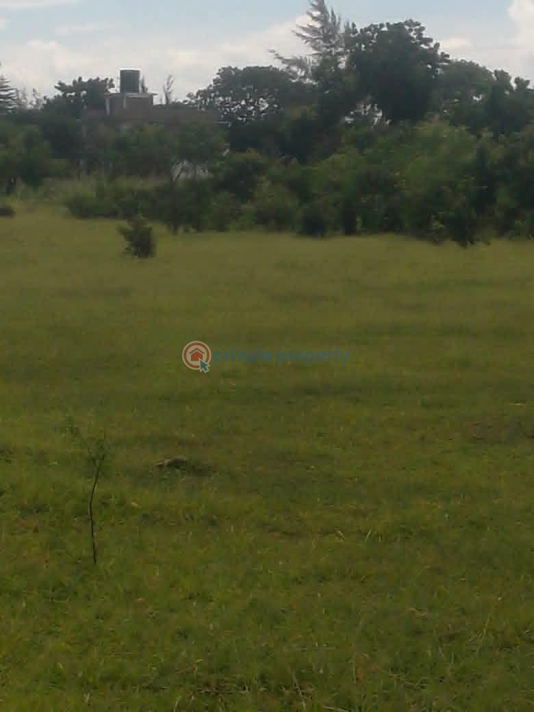 Land For Sale Kilifi, Bofa Area Mnarani Kilifi - 5
