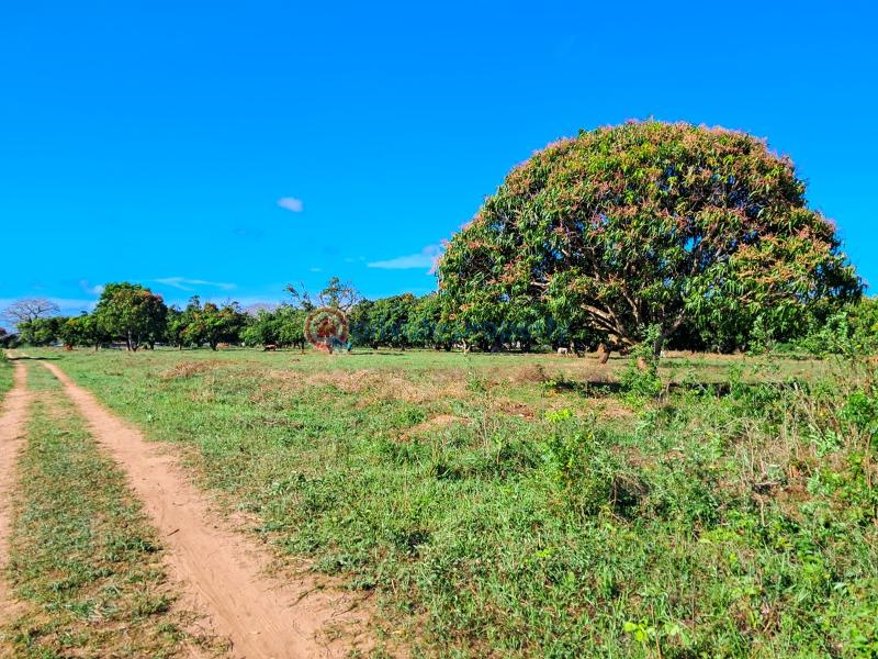 Land For Sale Malindi Airport Area Malindi Town Kilifi - 2