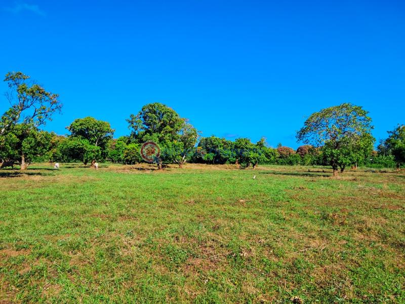 Land For Sale Malindi Airport Area Malindi Town Kilifi - 5