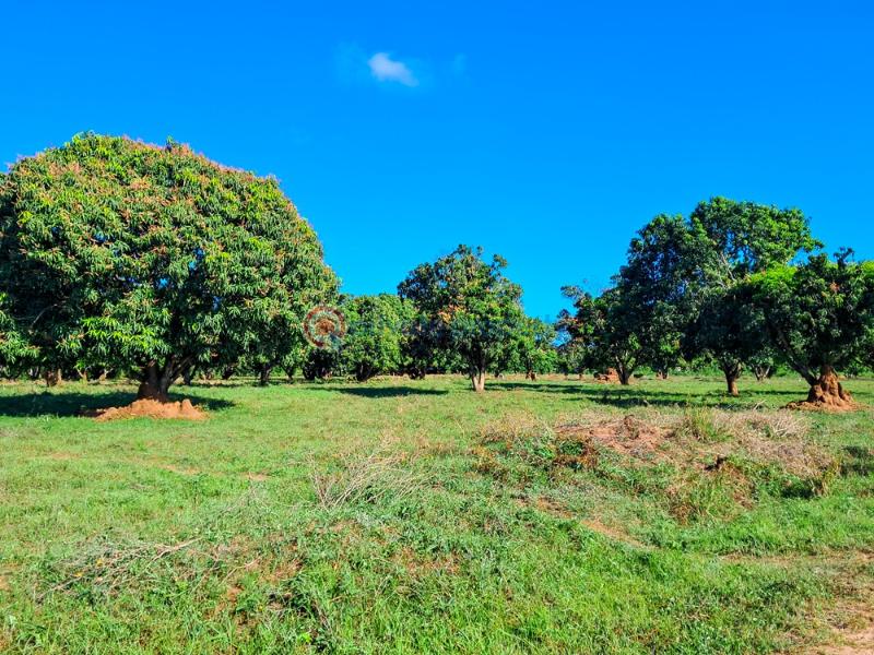 Land For Sale Malindi Airport Area Malindi Town Kilifi - 1
