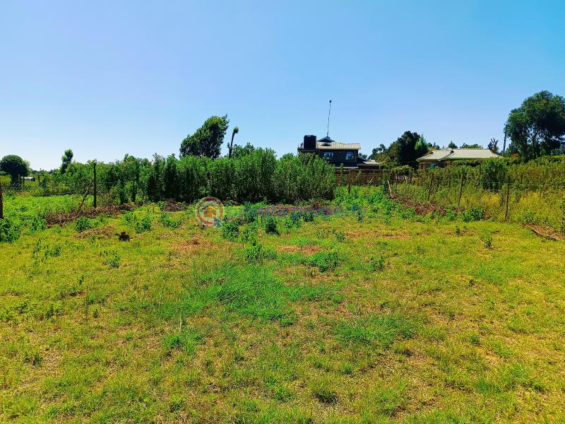 Residential Land For Sale Kamangu Kikuyu Kiambu - 13