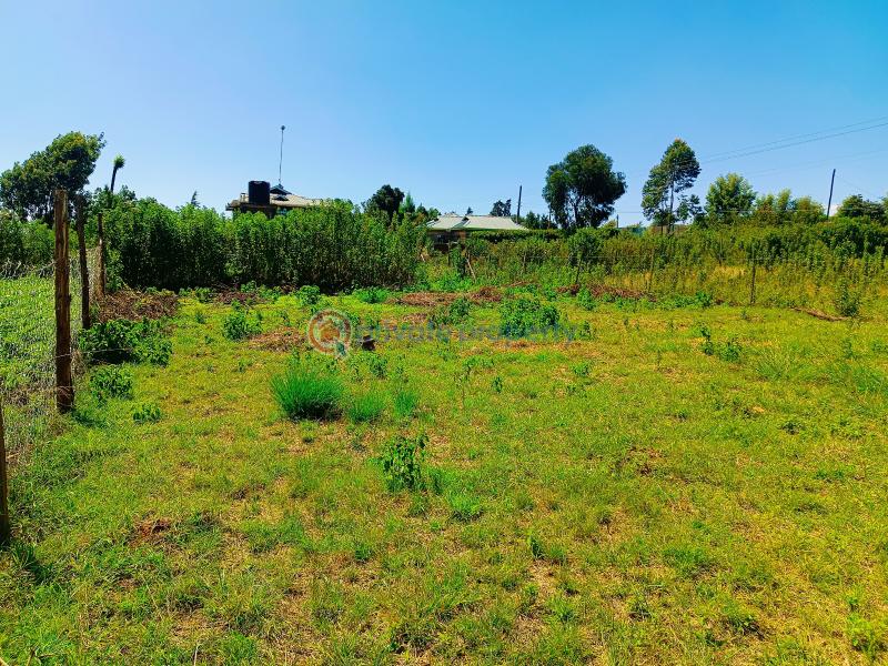Residential Land For Sale Kamangu Kikuyu Kiambu - 14