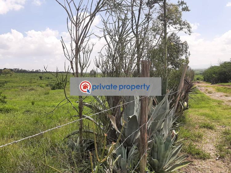 Land For Sale &nbsp;koma Kangundo Central Machakos - 7