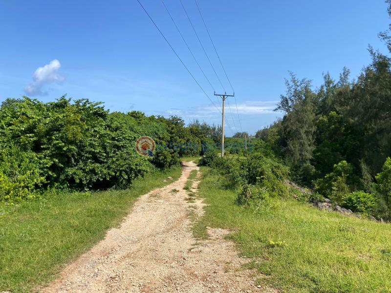 Land For Sale Vipingo Beach Shimo La Tewa Kilifi - 3