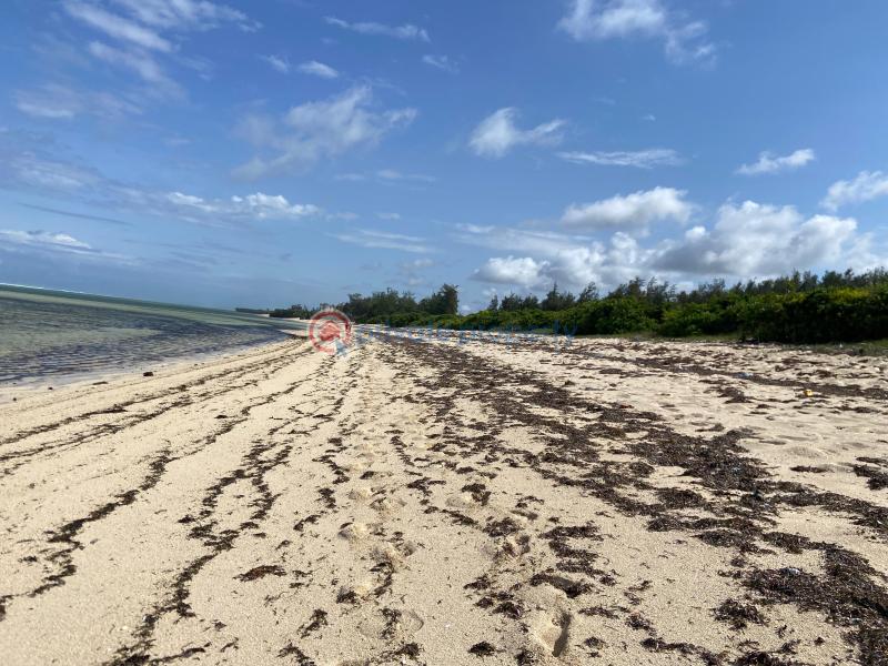 Land For Sale Vipingo Beach Shimo La Tewa Kilifi - 1