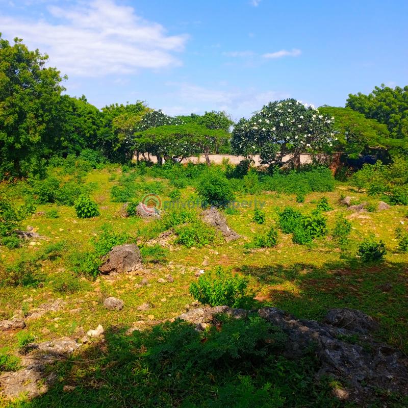Land For Sale Bofa Road Bofa Beach Sokoni Kilifi - 2