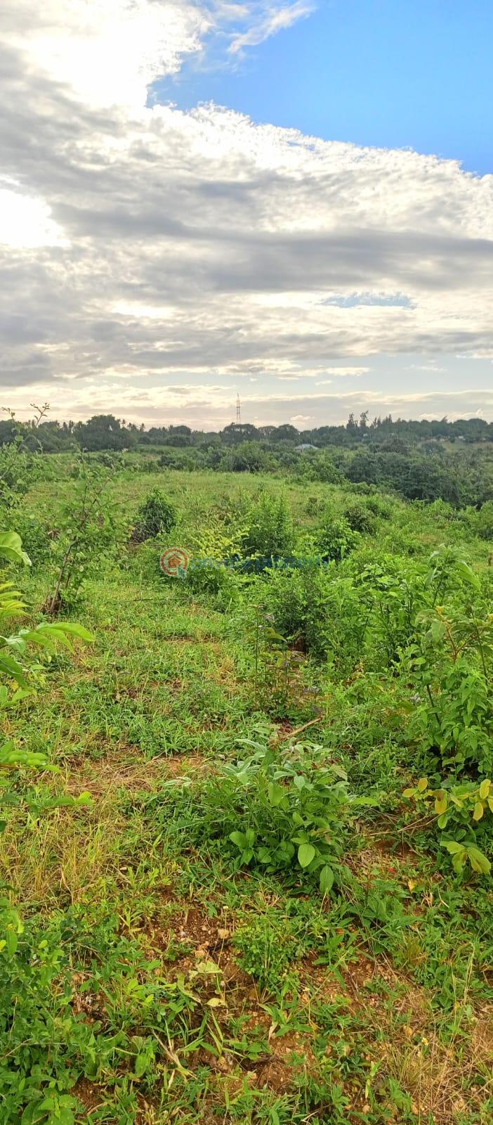 Land For Sale Mavueni Bypass Mariakani Kilifi - 3