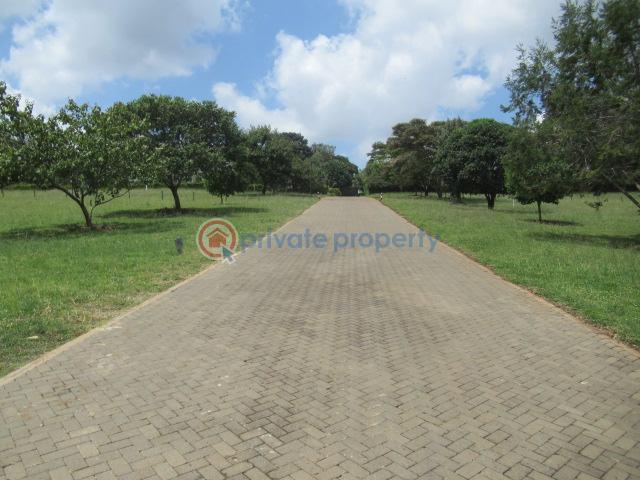 Land For Sale Off Windy Ridge Road Karen Nairobi - 12
