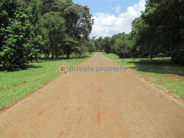 Land For Sale Off Windy Ridge Road Karen Nairobi - 2