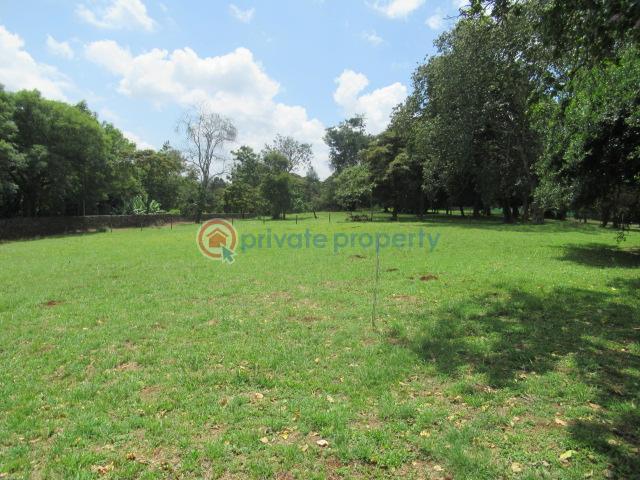 Land For Sale Off Windy Ridge Road Karen Nairobi - 4