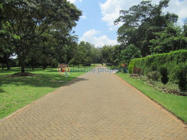 Land For Sale Off Windy Ridge Road Karen Nairobi - 10