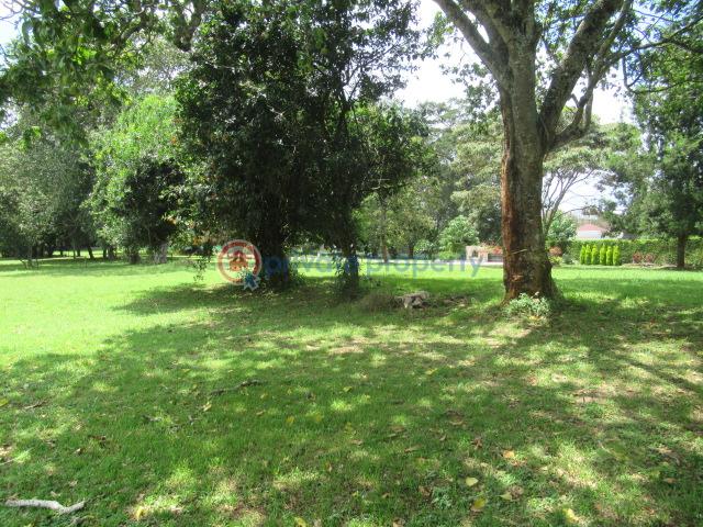 Land For Sale Off Windy Ridge Road Karen Nairobi - 5