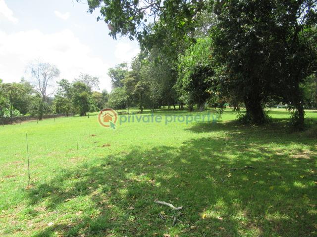Land For Sale Off Windy Ridge Road Karen Nairobi - 6