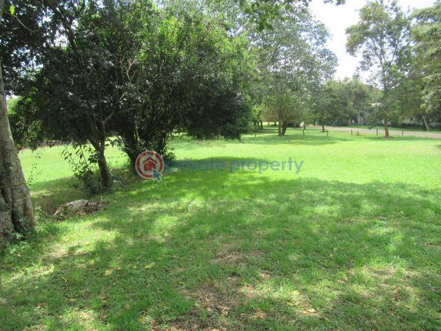 Land For Sale Off Windy Ridge Road Karen Nairobi - 7