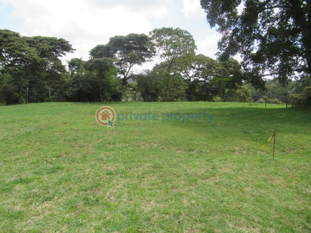 Land For Sale Off Windy Ridge Road Karen Nairobi - 11