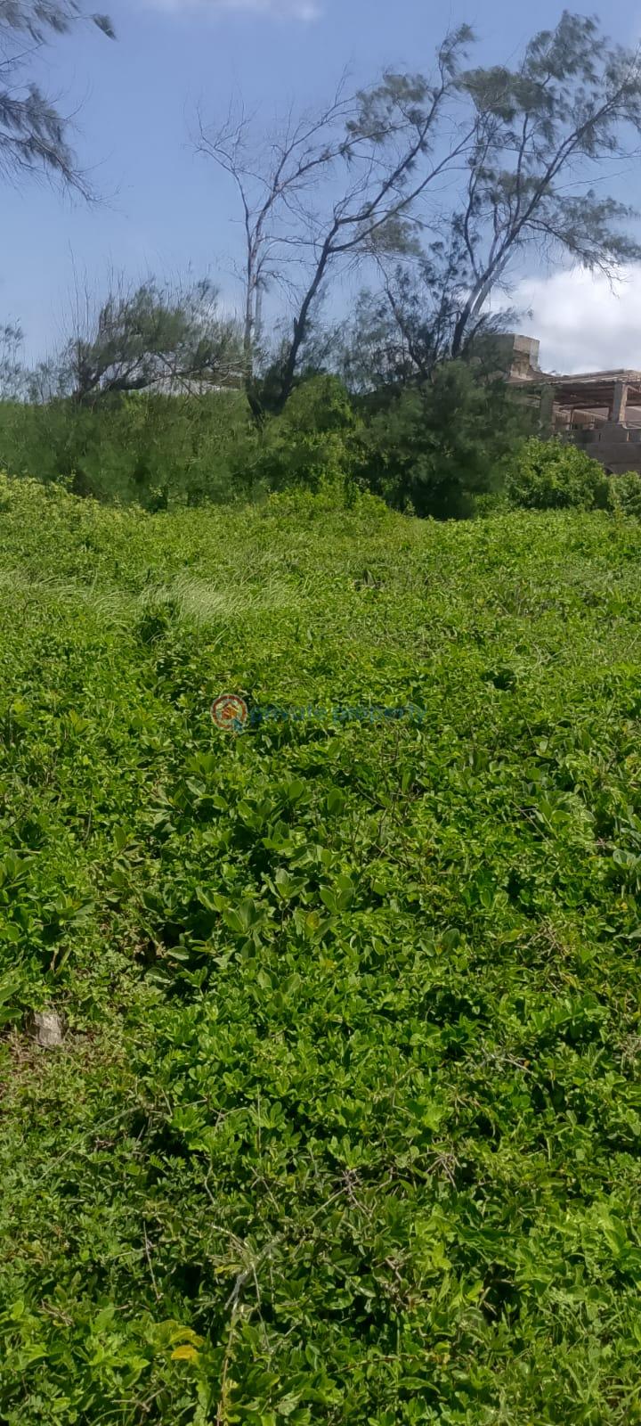 Land For Sale Kilifi Plantation Mnarani Kilifi - 4