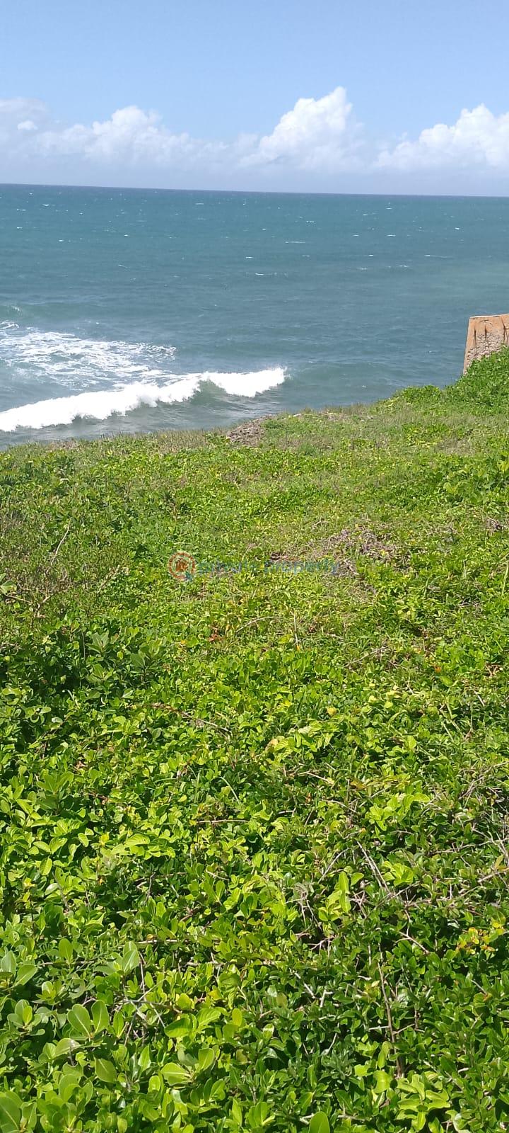 Land For Sale Kilifi Plantation Mnarani Kilifi - 5