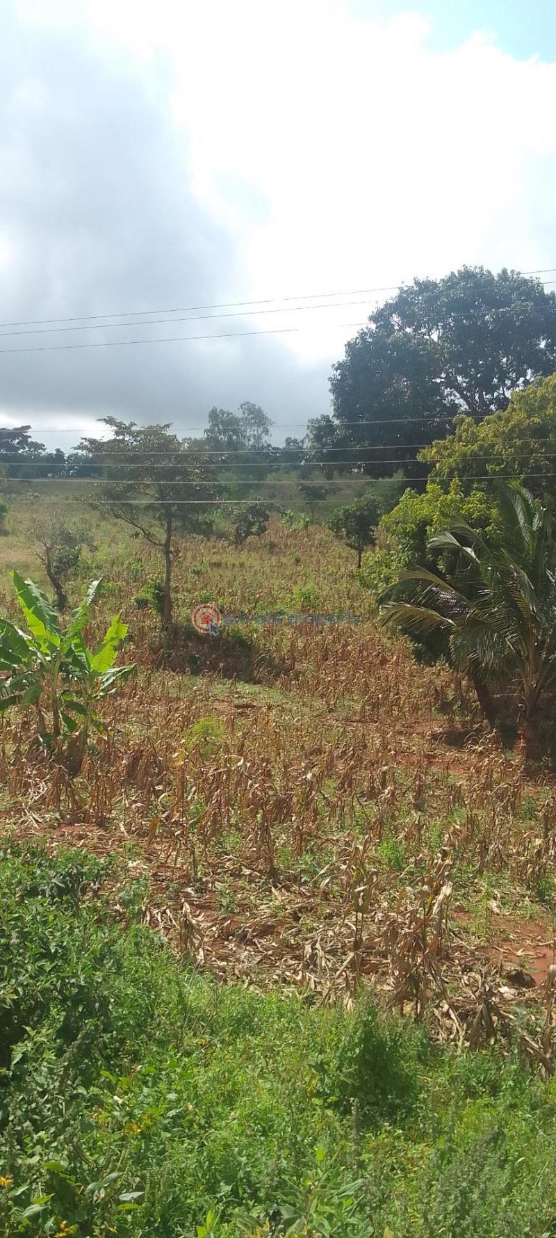 Mixed use Land For Sale Cha Simba Kaloleni Kilifi - 6
