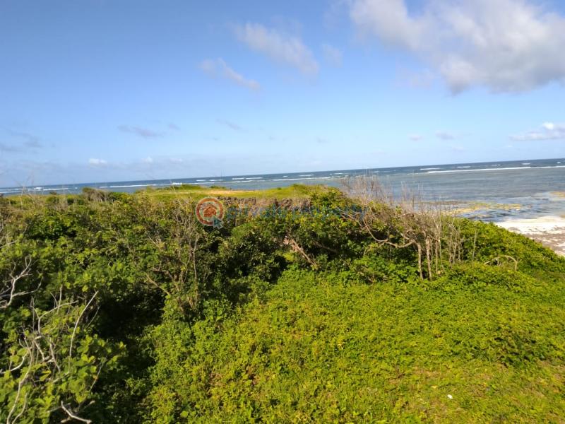 Land For Sale Tezo Kilifi  - 5