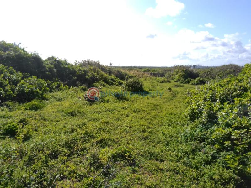 Land For Sale Tezo Kilifi  - 2