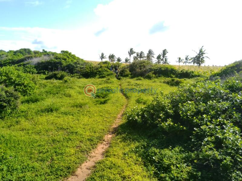 Land For Sale Tezo Kilifi  - 6