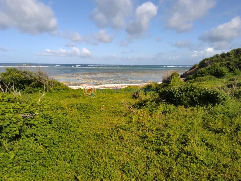 Land For Sale Tezo Kilifi  - 3