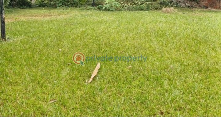 Land For Sale Tigoni Limuru Road Tigoni. Kiambu - 2