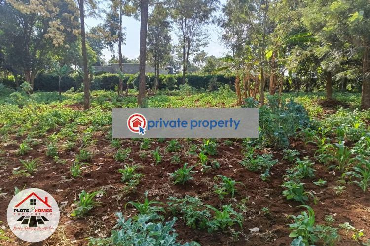 Commercial Land For Sale &nbsp;thogoto Kikuyu Kiambu - 4