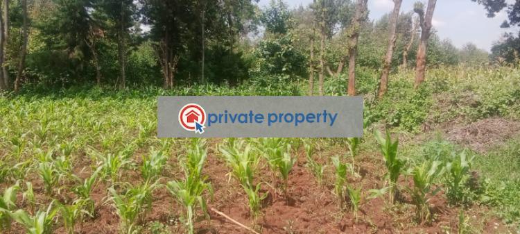 Residential Land For Sale &nbsp;ondiri Kikuyu Kiambu - 3