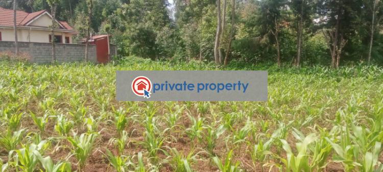 Residential Land For Sale &nbsp;ondiri Kikuyu Kiambu - 2