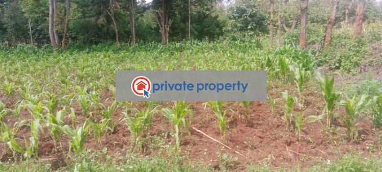 Residential Land For Sale &nbsp;ondiri Kikuyu Kiambu - 4