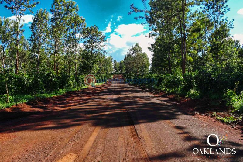 Residential Land For Sale Oaklands Estate Oaklands Ruiru Kiambu - 24