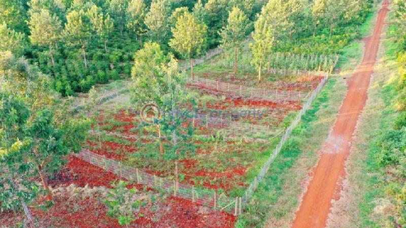 Residential Land For Sale Oaklands Estate Oaklands Ruiru Kiambu - 26